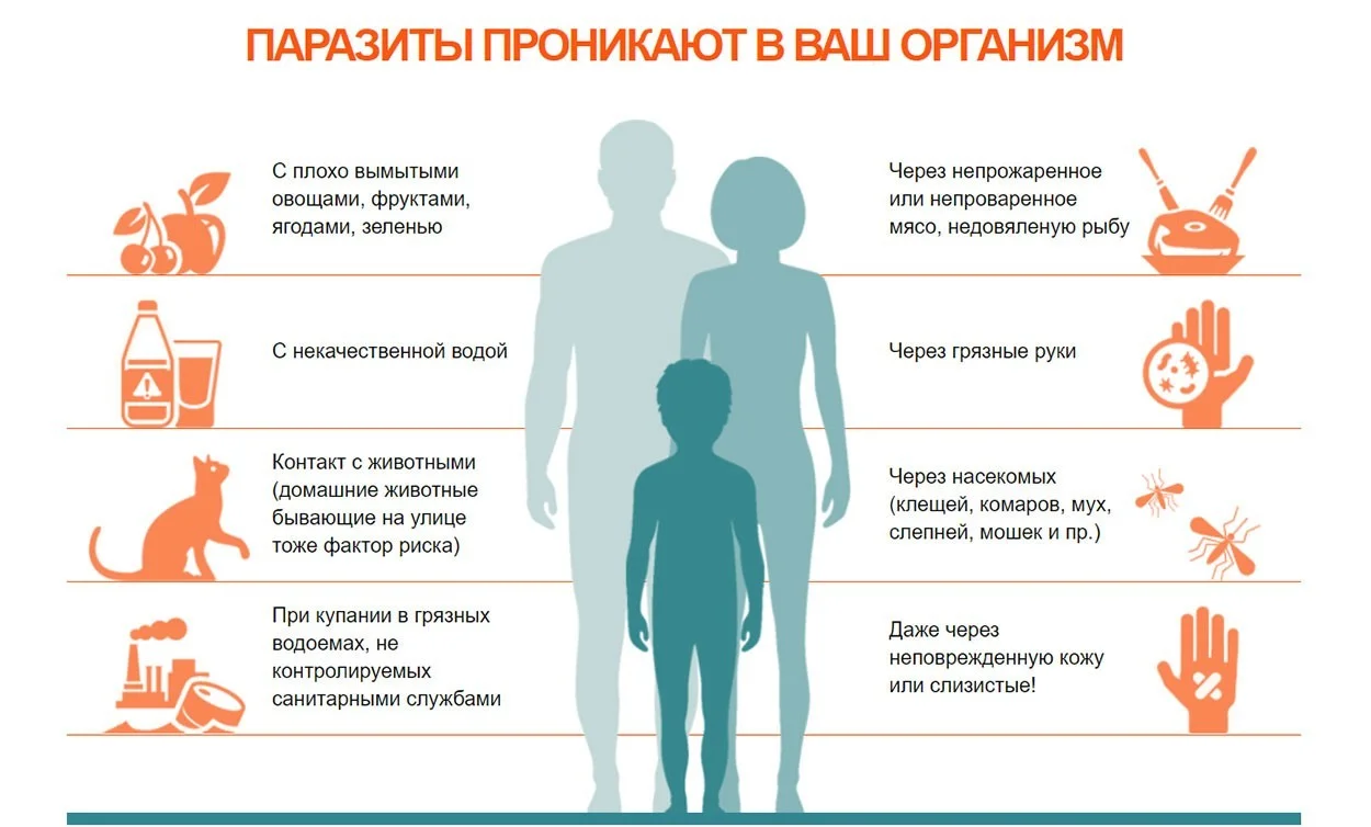 Профилактика гельминтозов