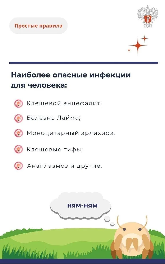 Picture2.jpg Picture2.jpg