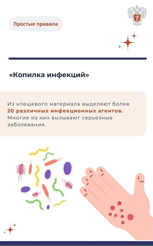 Picture1.jpg Picture1.jpg