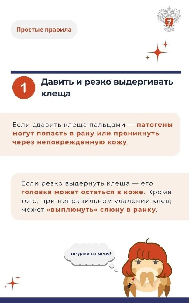 Picture6.jpg Picture6.jpg