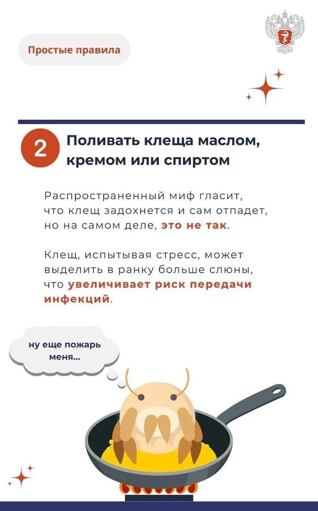 Picture7.jpg Picture7.jpg
