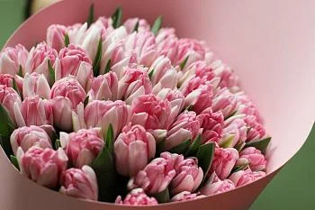 Поздравление с Международным женским днем Поздравление с Международным женским днем