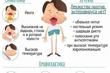 Профилактика энтеровирусной инфекции Профилактика энтеровирусной инфекции