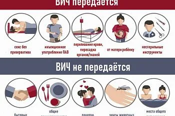 СПИД. Пути заражения и профилактика СПИД. Пути заражения и профилактика