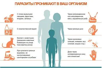Профилактика гельминтозов Профилактика гельминтозов