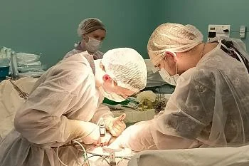 С начала года в онкологическом центре Калининградской области проведено уже более 130 оперативных вмешательств С начала года в онкологическом центре Калининградской области проведено уже более 130 оперативных вмешательств